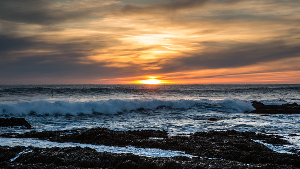 Ocean view